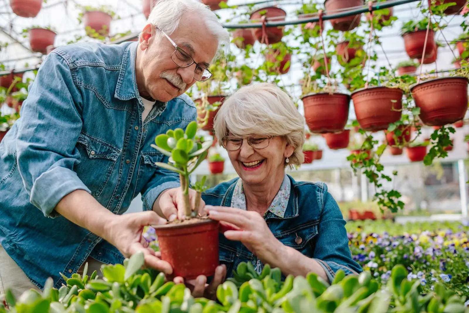 Person-Centered Approach at Pasadena Highlands